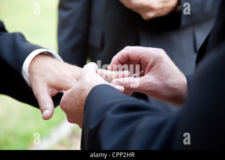 One groom placing the ring on another man's finger during gay wedding. Stock Photo