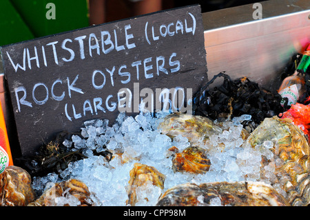 Sign for rock oysters, Whitstable, Kent Stock Photo