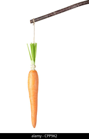 Carrot on a stick Stock Photo