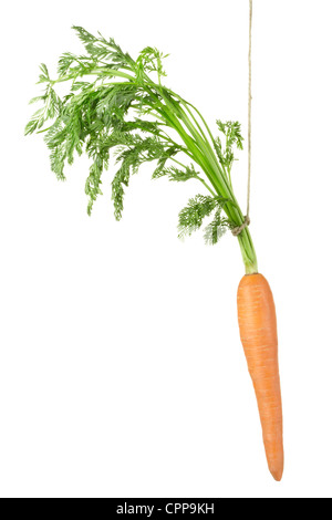 Hanging carrot Stock Photo