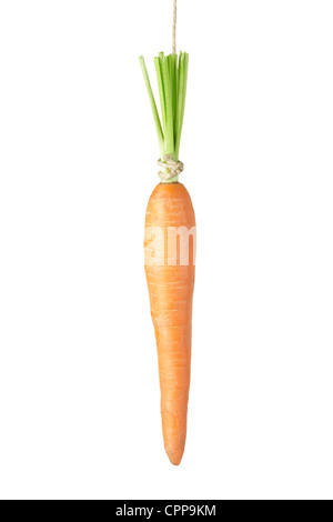 Hanging carrot Stock Photo