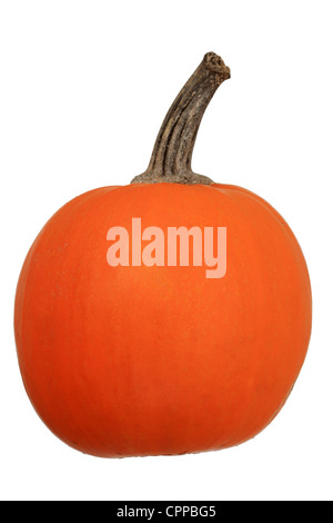 orange mini pumpkin isolated on white background Stock Photo