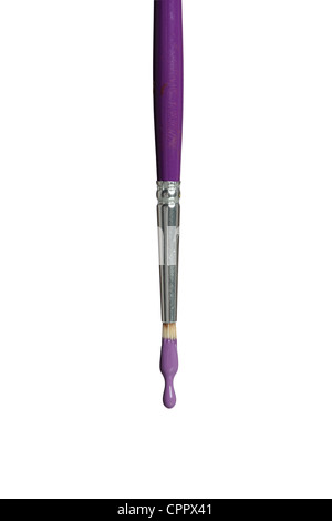 Paintbrush dripping purple paint isolated over white background Stock Photo