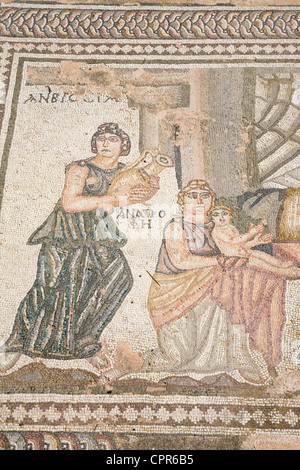 Part of a Roman mosaic in the Archaeological Park, Paphos, Cyprus. Stock Photo