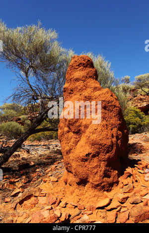 A termite mound stands in Kalbarri National Park, Western Australia. Stock Photo