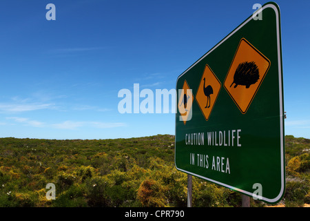 A sign cautions drivers that Australian native animals may be on the road while driving through Nambung National Park, Australia Stock Photo