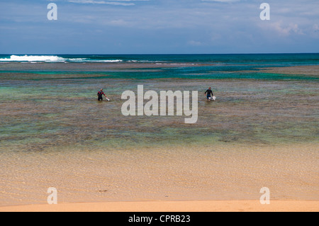 Surfers, Anini Beach, Kauai, Hawaii Stock Photo