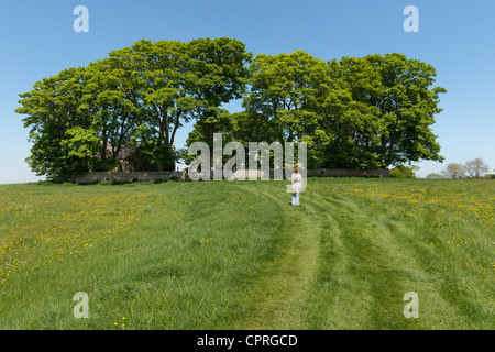 The field leading to St Oswald's Church at Heavenfield Stock Photo