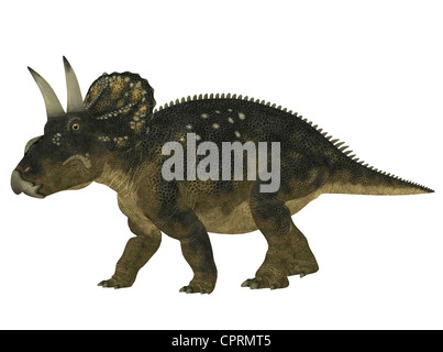 Illustration of a Nedoceratops (dinosaur species formerly known as Diceratops) isolated on a white background Stock Photo