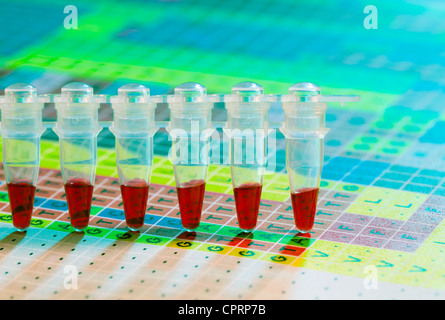 Strip of microtubes for the test analysis Stock Photo