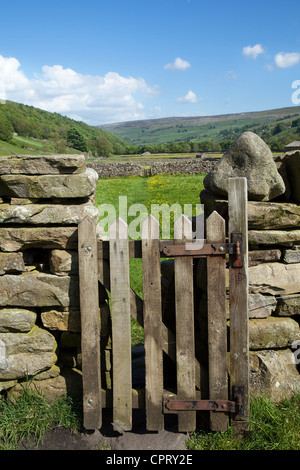 Wooden gate, dry stone walls, Public right of way for walkers & ramblers in farmland, North Yorkshire Dales Meadows, Gunnerside Yorkshire Dales, UK Stock Photo