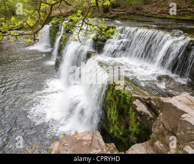 Sgwd y Pannwr waterfall on Afon Mellte near Pontneddfechan in Wales UK Stock Photo