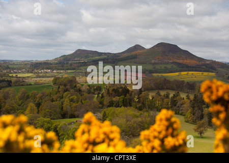 Scott's view, near Melrose in the Scottish Borders, Scotland, UK Stock Photo