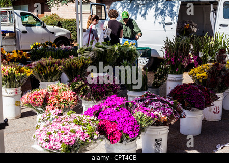Scenes from the Sunday Ojai California USA Farmers Market where all the produce and goods are Organically grown Stock Photo