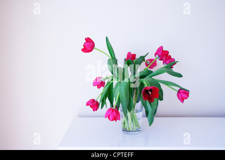 Pink tulips in glass vase Stock Photo