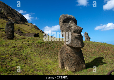 Moai Rano Raraku quarry Easter Island Chile Stock Photo