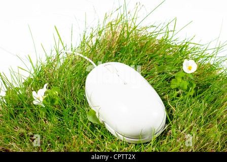 computer mouse on lawn Stock Photo