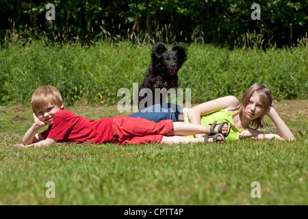 girl and boy lying in a meadow, their dog jumping over them Stock Photo