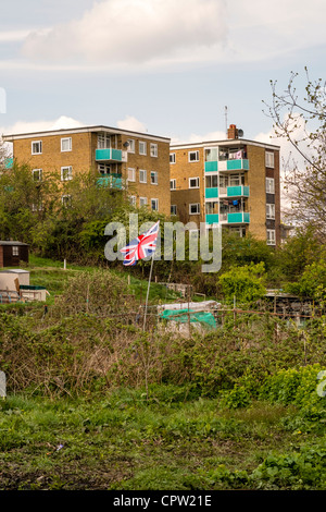 The Union Jack flies proudly amongst the weeds on an allotment site in Southampton, Hampshire. Stock Photo