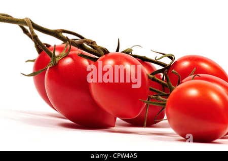 Organic vine-ripened Roma tomatoes on the vine. Stock Photo