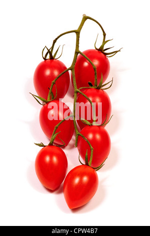 Organic vine-ripened Roma tomatoes on the vine. Stock Photo