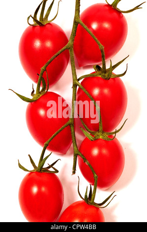 Organic vine-ripened Roma tomatoes on the vine. Stock Photo