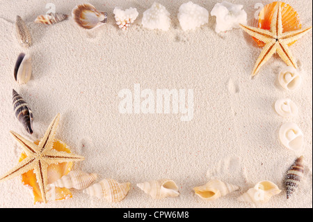 Group of seashells, starfishes on the sand Stock Photo