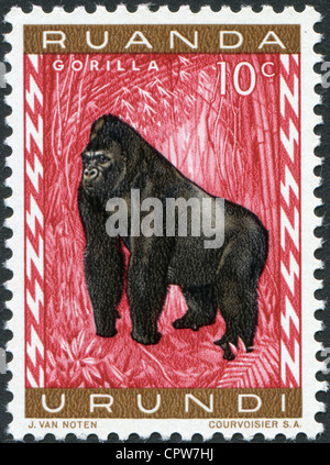 RUANDA, URUNDI - CIRCA 1959: Postage stamps printed in Ruanda, Urundi, shows a gorilla, circa 1959 Stock Photo