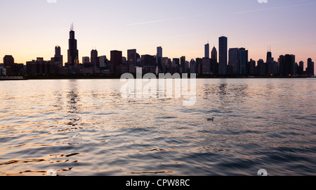 Skyline of Chicago from the old observatory at sunset with duck Stock Photo