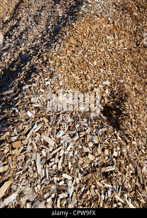 Pile of wood chips Stock Photo