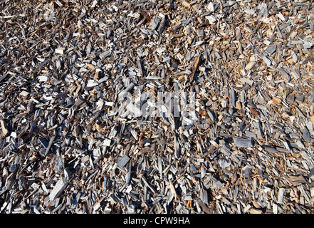 Pile of wood chips Stock Photo