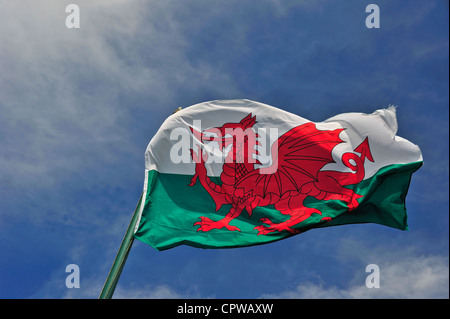 The Welsh flag against a blue sky. Motion blur at the tip of the flag. Space for text in the sky. Stock Photo