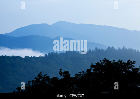 Misty morning over the  Mawddach Estuary, Snowdonia National Park, North Wales UK Stock Photo