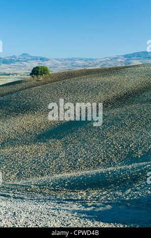 Undulating hills by San Quirico d'Orcia, in the Val D'Orcia area of Tuscany, Italy Stock Photo