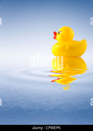 Cheerful and optimistic yellow rubber duck against floating on blue water with lots of copy space. Stock Photo