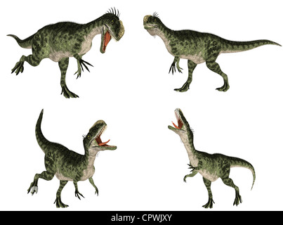 Illustration of a Monolophosaurus (dinosaur species) isolated on a ...