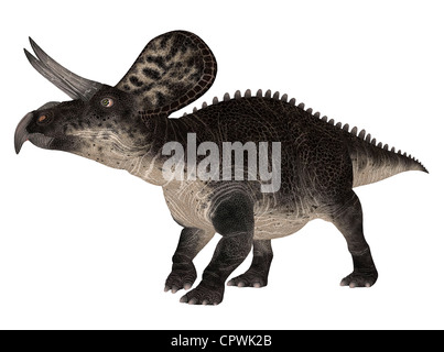 Illustration of a Zuniceratops (dinosaur species) isolated on a white background Stock Photo