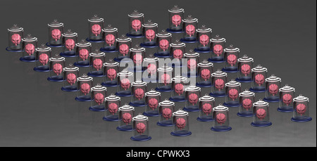 illustration of human brains in specimen jars Stock Photo