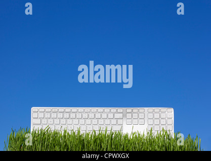 white keyboard on the grass and blue sky Stock Photo