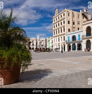 Low level angle of the Plaza Vieja, Old Havana Cuba with potted plants in the foreground Stock Photo