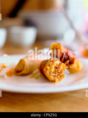 Egg roll on plate, close up Stock Photo