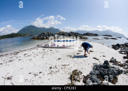 Woman looking for shells on beach, Esperanza Inlet, Vancouver Island, British Columbia, Canada Stock Photo