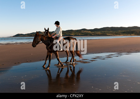 Young woman riding horse on beach Stock Photo