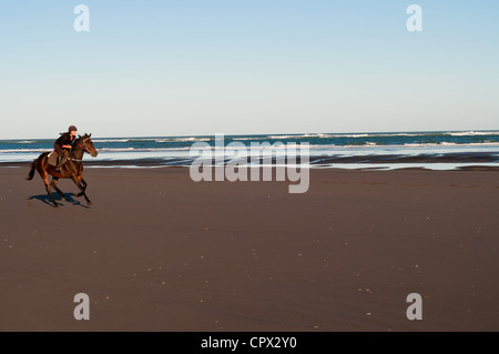 Mid adult woman riding horse on beach Stock Photo