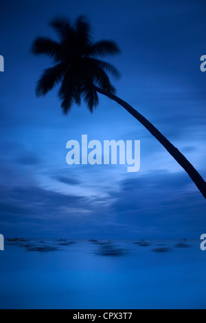 dusk on Alona Beach, Panglao Island, Bohol, The Visayas, Philippines Stock Photo