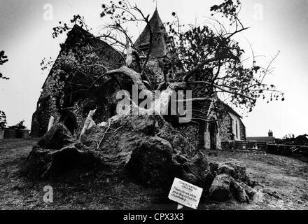 Trees down by Ditchling Church Sussex after a storm in 1990 Archive mono image Stock Photo