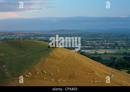 Parrock Hill wiith Glastonbury Tor in the distance, from Corton Hill, Somerset, England, UK Stock Photo