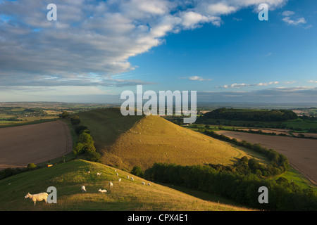 Parrock Hill wiith Glastonbury Tor in the distance, from Corton Hill, Somerset, England, UK Stock Photo