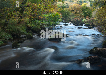 autumn colours along the East Dart River, Dartmoor, Devon, England, UK Stock Photo