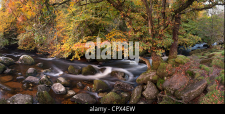 autumn colours along the East Dart River, Dartmoor, Devon, England, UK Stock Photo